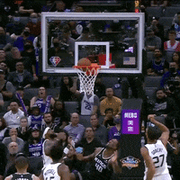 Yell Harrison Barnes GIF by Sacramento Kings