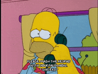 homer simpson GIF