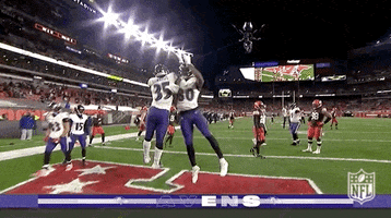Regular Season Football GIF by NFL