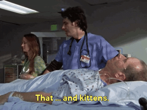 VicVik giphygifmaker giphyattribution GIF