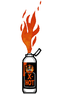 Fire Burning Sticker by Siipiweikot