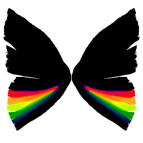 Butterfly Wings Sticker