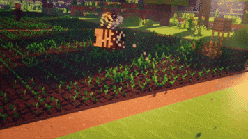 Bees Pollinating