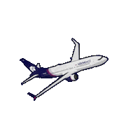 Heart Love Sticker by Aeromexico