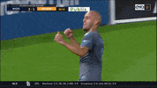 New York City Fc Mls GIF by NYCFC