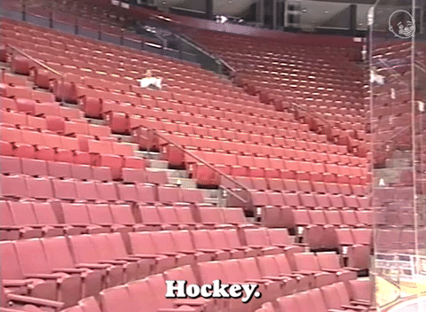 Hockey. What A Fantastic Sport