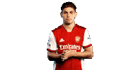 Celebrate Premier League Sticker by Arsenal