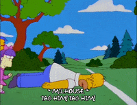 homer simpson episode 23 GIF