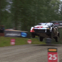 Ford Wow GIF by FIA World Rally Championship