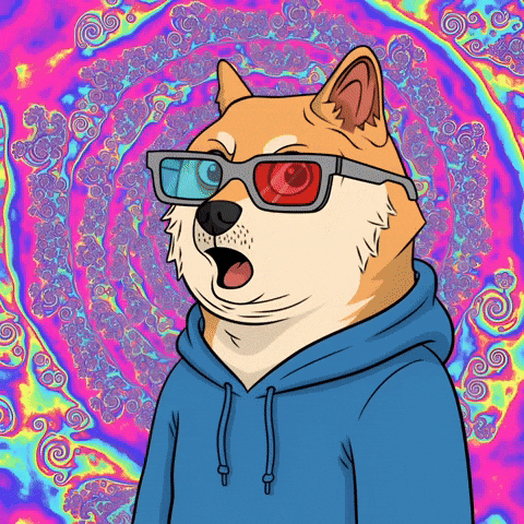 Shiba Inu Wow GIF by Doge Pound