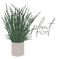 sociallightdesign illustration flower green plant Sticker