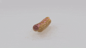 Hot Dog GIF