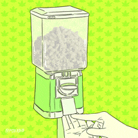 Blaze It Animation Domination GIF by gifnews