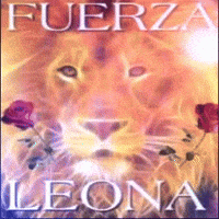 Lion Leona GIF