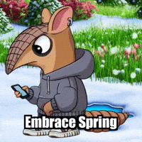 Snow Spring GIF by Chillo Dillo
