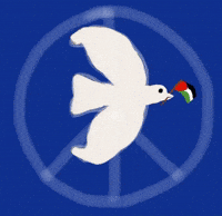 Peace Palestine GIF by Barbara Pozzi