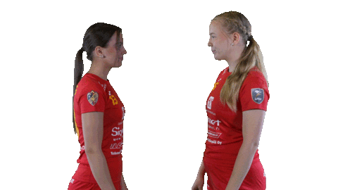 Sport Floorball Sticker by F-liiga
