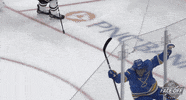 Celebrate Ice Hockey GIF by NHL