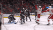 Happy Red Wings GIF by Bally Sports Detroit