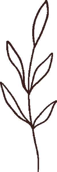 Ohiaconcept vintage life plant grow Sticker