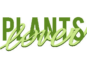 Plant Sticker by Andrea Scarpin