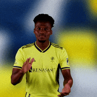 Major League Soccer Football GIF by Nashville SC