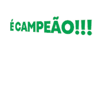 brazilianunited brasil futebol busa campeões Sticker