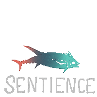 Consciousness Sentience Sticker by ProjetMeduses