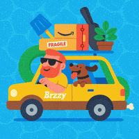Driving Road Trip GIF by Brzzy