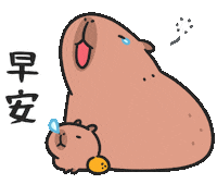 Baby Hello Sticker