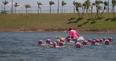 ProTriathletesOrg swim triathlon triathlete pto GIF