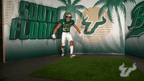 South Florida Flex GIF by USF Athletics