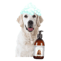 Hundeliebe Fellnase Sticker by DOG'S LOVE