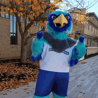 Mascot Yes GIF by Anne Arundel Community College