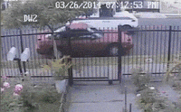 guy delivery GIF