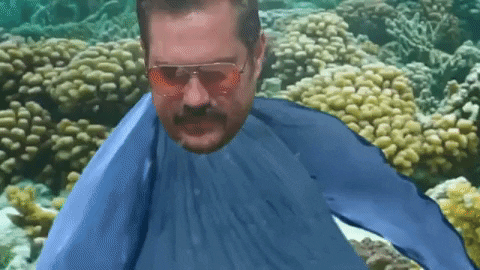 Bssadvisors GIF by Barstool Sports