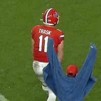 Happy Pumped Up GIF by Florida Gators