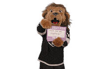 Ice Hockey Sticker by NHL