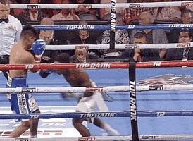 toprank fight fighting espn fighters GIF