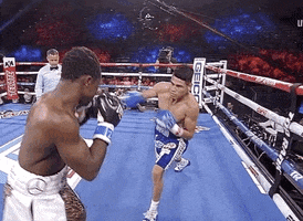 toprank fight fighting espn fighters GIF