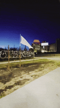 Montreal GIF by Casol