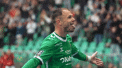 Asse Verts GIF by AS Saint-Étienne