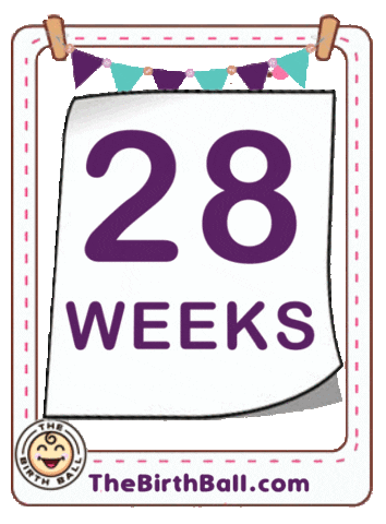 Expecting 28 Weeks Sticker by The Birth Ball