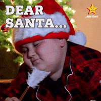 Dear Santa GIF by Hardee's