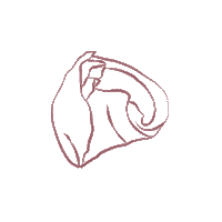 Logo Pink Sticker by Cera Official