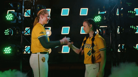 King Softball GIF by NDSU Athletics