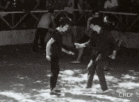 CRDI dance ball baile twist GIF