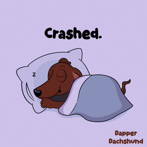 Dog Sleeping GIF by VeeFriends