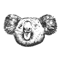 arboreacachaca koala cachaça arborea arboreacachaca Sticker