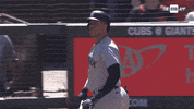 New York Yankees GIF by YES Network